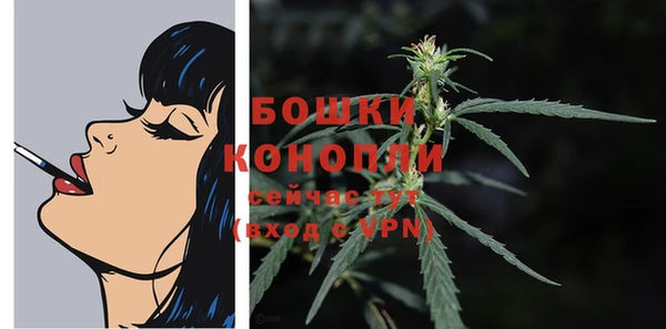 стаф Михайлов