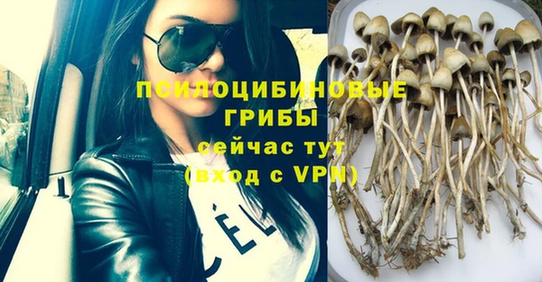 стаф Михайлов