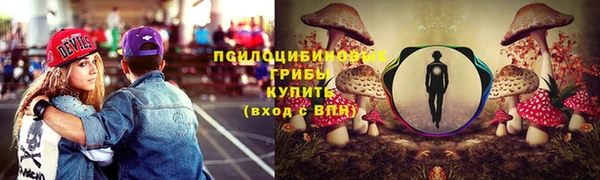 стаф Михайлов