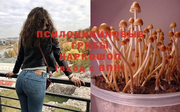 стаф Михайлов