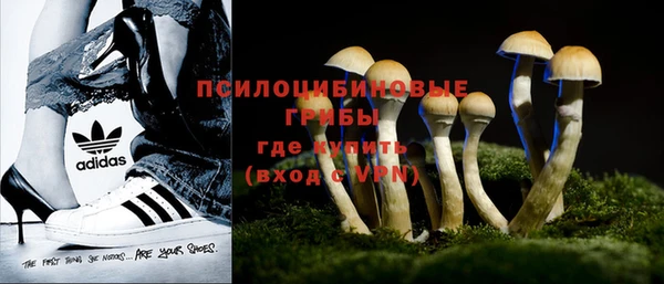 стаф Михайлов